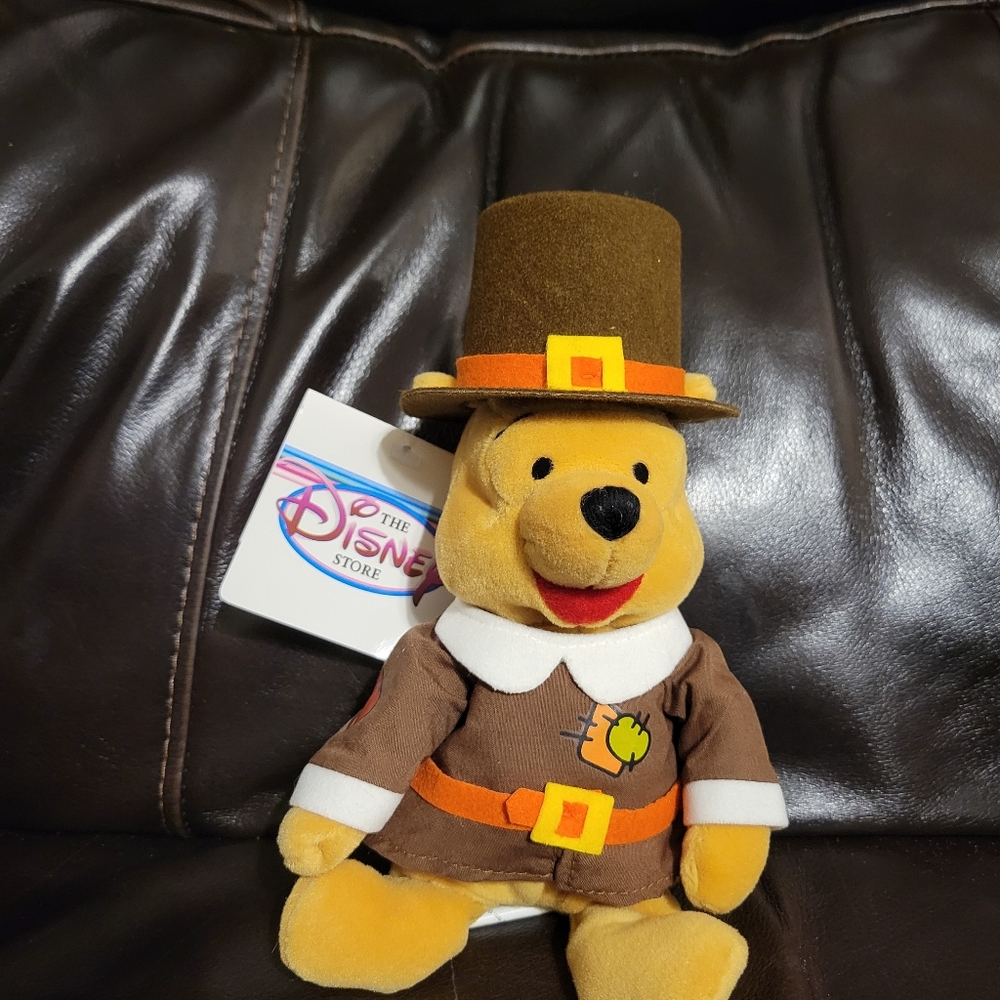 Disney Pooh Bear Pilgrim plush
